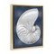 Stupell Industries Striped Nautilus on Blue Floating Frame By Caroline Kelly